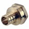 Apollo Apollo Expansion PEX / Pex A 3/4 in. Expansion PEX in to X 1 in. D FPT Brass Female Adapter EPXFA341 - alternate 2